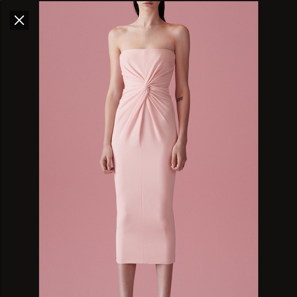 NWT Alex Perry ‘Lindsey’ Dress